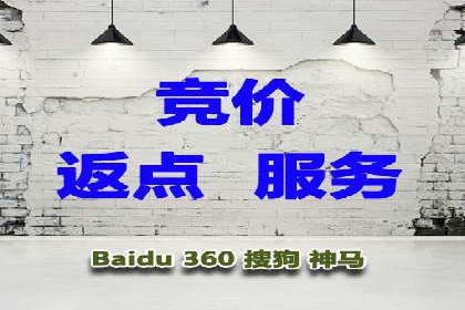 竞价排名成功案例分享